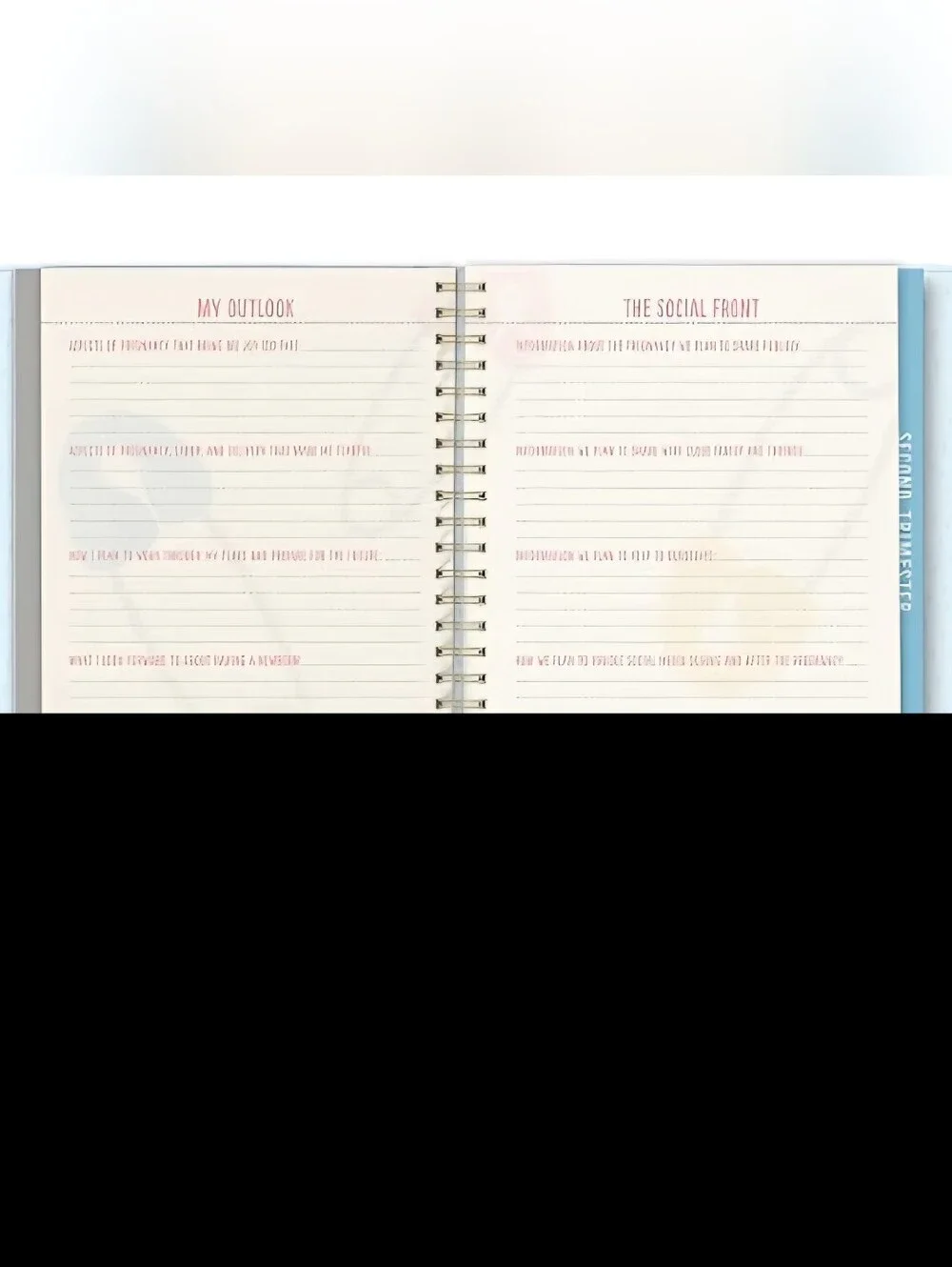 Bump for Joy! Pregnancy Journal - Blue & Pink